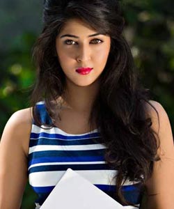 sonarika,allu arjun,jadoogadu,boyapati srinu  బన్నీ సరసస ‘జాదూగాడు’ భామ!